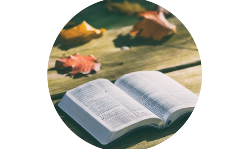 DISCIPLESHIP